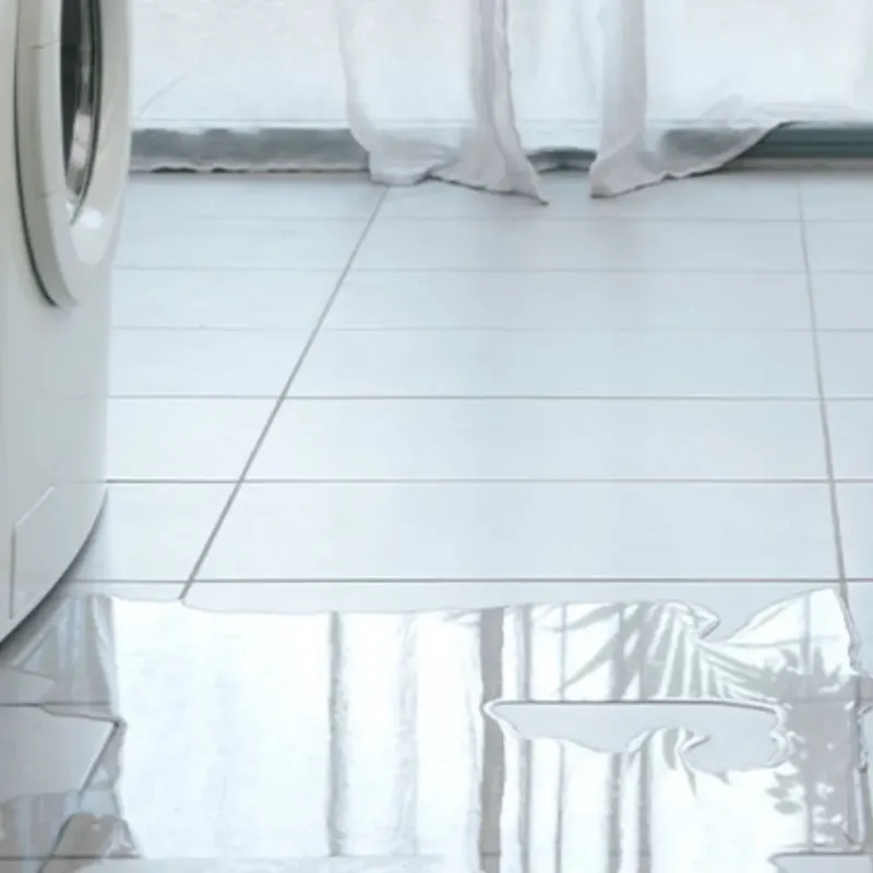 Appliance Leak Cleanup in Clark County, MO