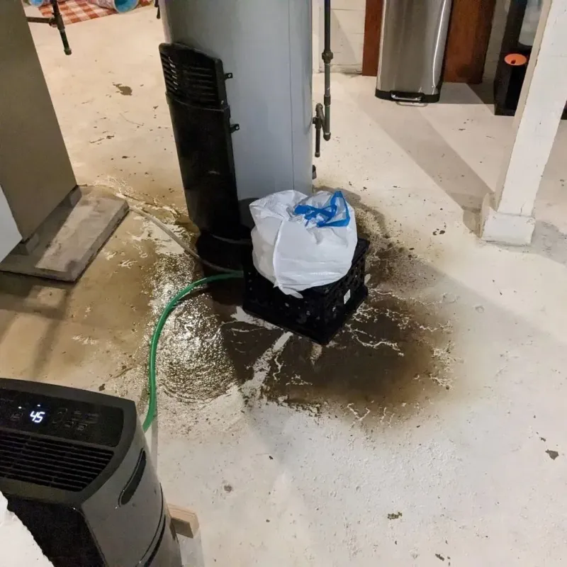 Sewage Backup Cleanup Service in Clark County, MO